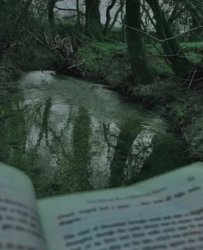 Reading Spot. Meme Template