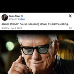 James woods and Karen Piper Meme Template