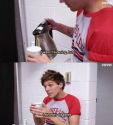 Louis Tomlinson I wasn't listening but I strongly disagree Meme Template