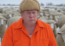 Donald Trump sheeple sheep sheepskin hat orange jumpsuit Meme Template