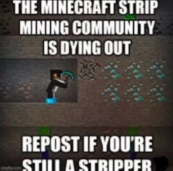 repost if youare stipper Meme Template