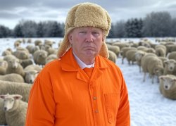 Donald Trump sheeple sheep sheepskin hat orange jumpsuit Meme Template