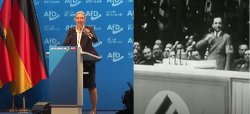 Weidel Goebbels Meme Template
