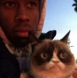 tyler the creator and grumpy cat Meme Template