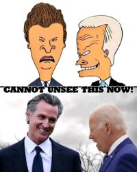 Beavis & Butthead are Biden & Newsom Meme Template