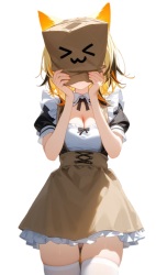Papaya Maid Meme Template