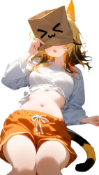 Papaya Sleeping Meme Template