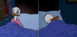 Donald duck sleep Meme Template