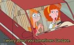 I worry about you sometimes Candace. Meme Template