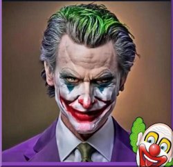 Gavin Newsom Joker Meme Template