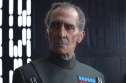 Tarkin you may fire when ready Meme Template