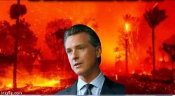 Gavin Newsom Burning LA Meme Template