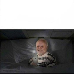 Hide the sleep harold Meme Template