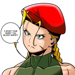 cammy angry Meme Template