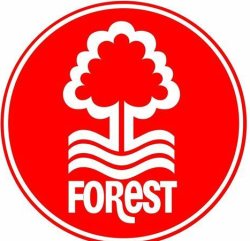 forest logo Meme Template