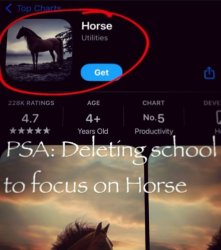 Deleting school to focus on horse Meme Template