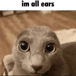 Im all ears Meme Template