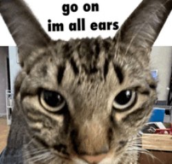 Im all ears Meme Template