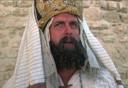 Are there any women here today? (Life of Brian) Meme Template