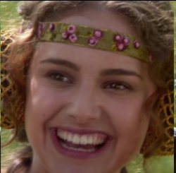 Padme single pane Meme Template