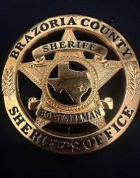 Brazoria County Sheriff's Office Blue Line Meme Template