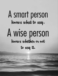 the difference between smart and wise Meme Template