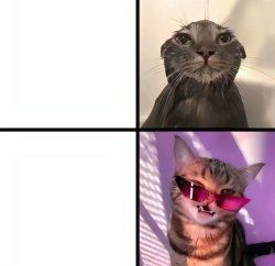 Cat vs cool cat Meme Template