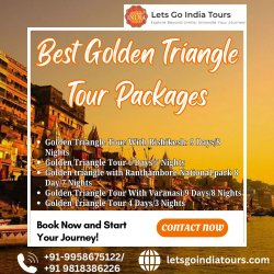 Best Golden Triangle Tour Packages Meme Template