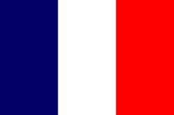 Flag France Meme Template