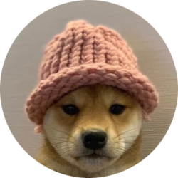 WIF head Meme Template