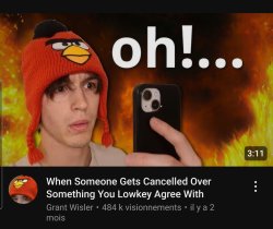 angru bird hat Meme Template