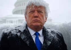 Trump inauguration 2025 frozen ice capitol Meme Template