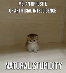 Natural stupidity Meme Template