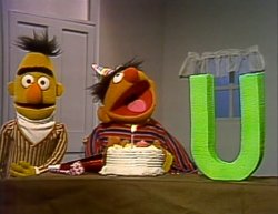 Happy Bert Day Meme Template