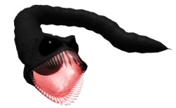 Slug fish Meme Template