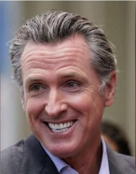 Gavin Newsom fake smile Meme Template