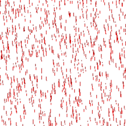 Shorrow Meme Template