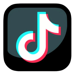 TikTok Meme Template