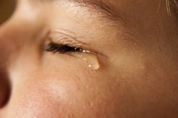 Tears Meme Template
