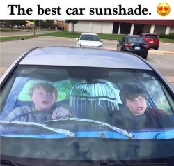 Harry Potter Sun shade Meme Template