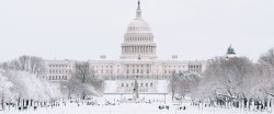 Winter in Washington Meme Template