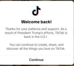 tik tok is back Meme Template