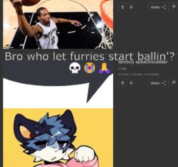 bro who let furries start ballin'? Meme Template