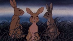 Fiver (Watership Down) Meme Template