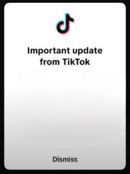 Tiktok Update Meme Template