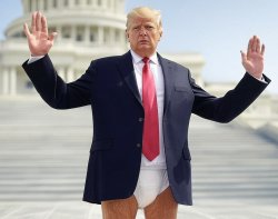 Trump at Capitol wearing diapers Meme Template