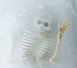 Frozen Death Meme Template