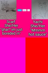 Scarf and Yachis oc temp Meme Template