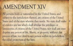 14th amendment Meme Template