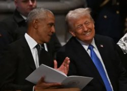 Obama and Trump laughing Meme Template